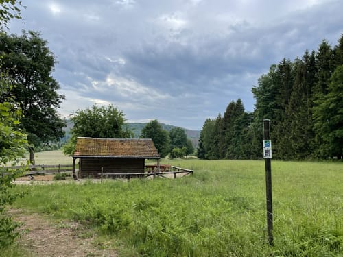 Saar-Hunsrück-Steig Etappe 10: Börfink - Morbach
