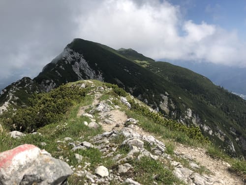 Zwieselalm - Zwiesel Gipfel