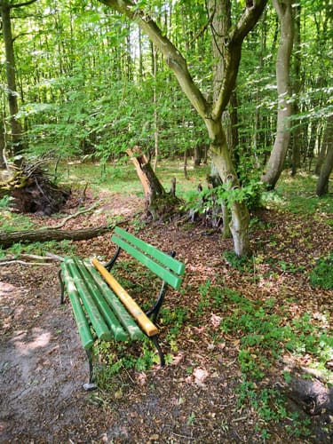 Rundwanderweg Hoppenrade