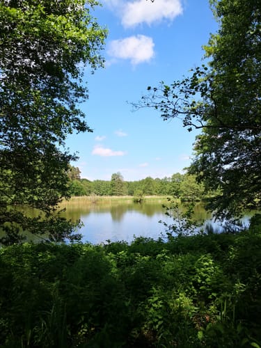 Rundwanderweg Hoppenrade