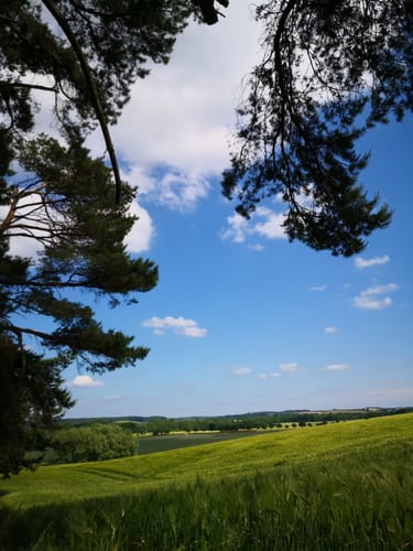 Rundwanderweg Hoppenrade