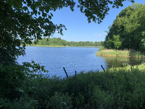 Um den Bredenbeker Teich