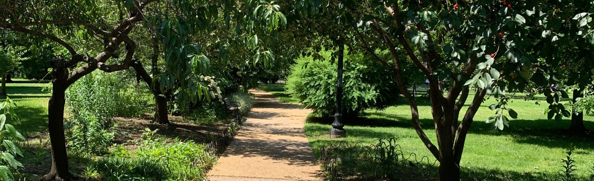 Garfield Park Loop 37 Reviews - EyJidWNrZXQiOiJhc3NldHMuYWxsdHJhaWxzLmNvbSIsImtleSI6InVwbG9hZHMvcGhvdG8vaW1hZ2UvNDc5NDcwMDkvZTdmYmMwYjNjNzdhOTllOTFlYWU4ZjcyOTdiMWY5NTEuanBnIiwiZWRpdHMiOnsidG9Gb3JtYXQiOiJqcGVnIiwicmVzaXplIjp7IndpZHRoIjoyMDQ0LCJoZWlnaHQiOjYyNCwiZml0IjoiY292ZXIifSwicm90YXRlIjpudWxsLCJqcGVnIjp7InRyZWxsaXNRdWFudGlzYXRpb24iOnRydWUsIm92ZXJzaG9vdERlcmluZ2luZyI6dHJ1ZSwib3B0aW1pc2VTY2FucyI6dHJ1ZSwicXVhbnRpc2F0aW9uVGFibGUiOjN9fX0=