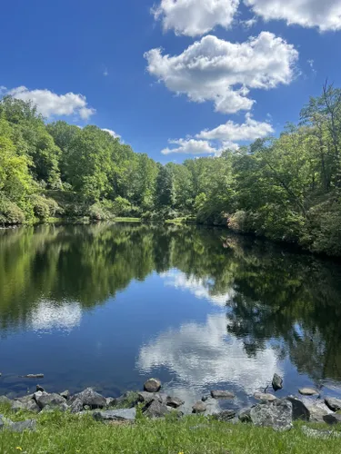 10 Best Trails and Hikes in Blowing Rock | AllTrails