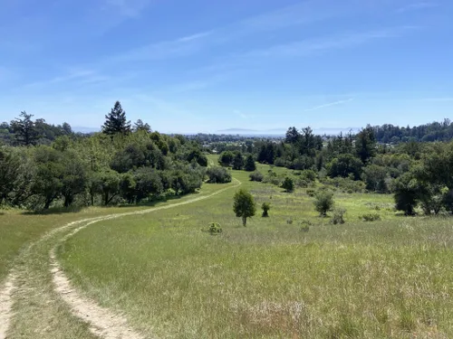 Best Hikes and Trails in Pogonip Open Space Preserve AllTrails