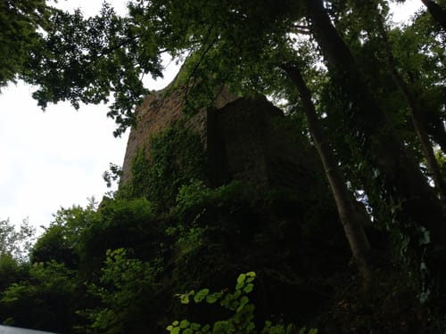 Zubringer Fernwanderweg Altmühltal-Panoramaweg: Riedenburg