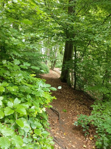 Zubringer Fernwanderweg Altmühltal-Panoramaweg: Riedenburg