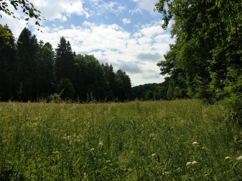 Zubringer Fernwanderweg Altmühltal-Panoramaweg: Riedenburg