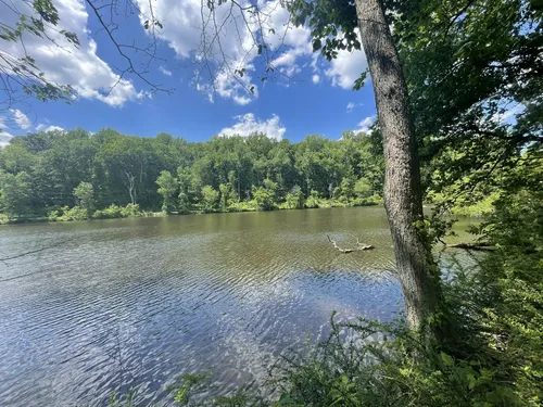 South mountain store reservation bike trails