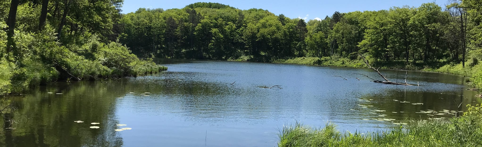 Hoist Lakes Foot Travel Area 107 Reviews, Map Michigan AllTrails