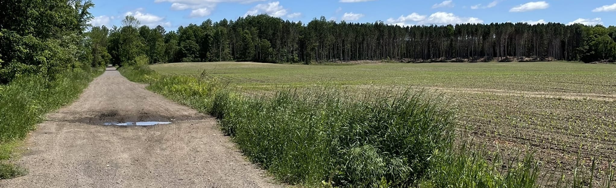 Vanderwater Conservation Area Blue Trail, 32 Photos Ontario, Canada