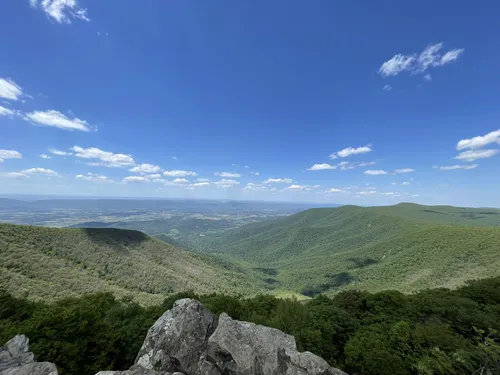 Dog friendly hikes shenandoah national clearance park