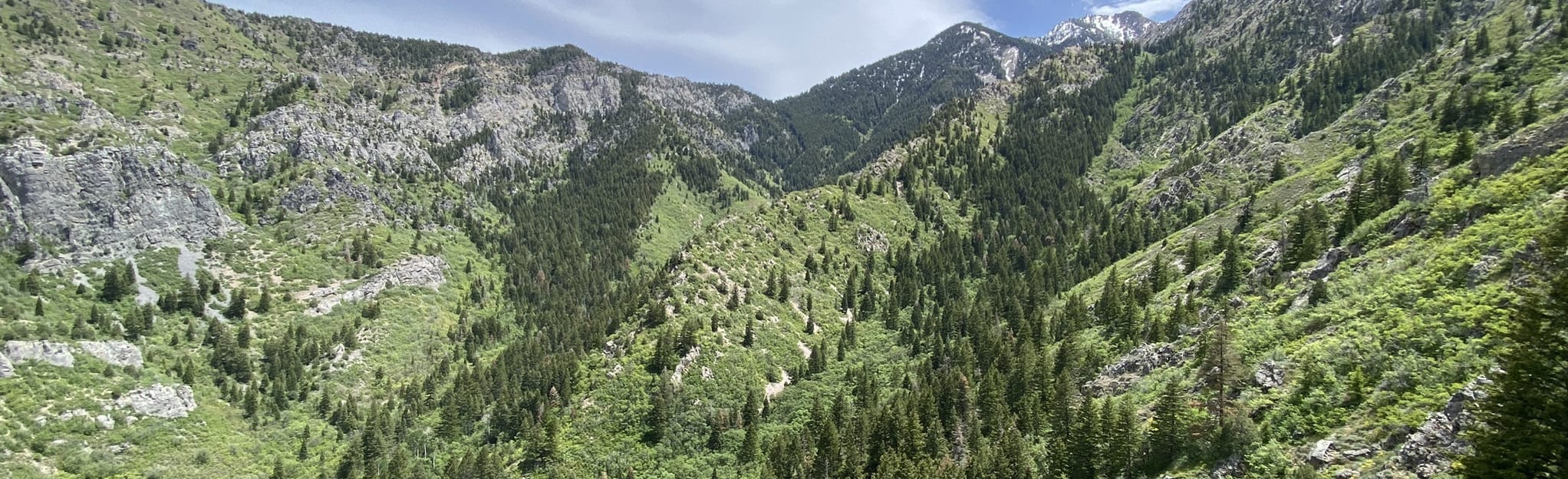 Indian Trail: 1306 Reviews, Map - Utah | AllTrails