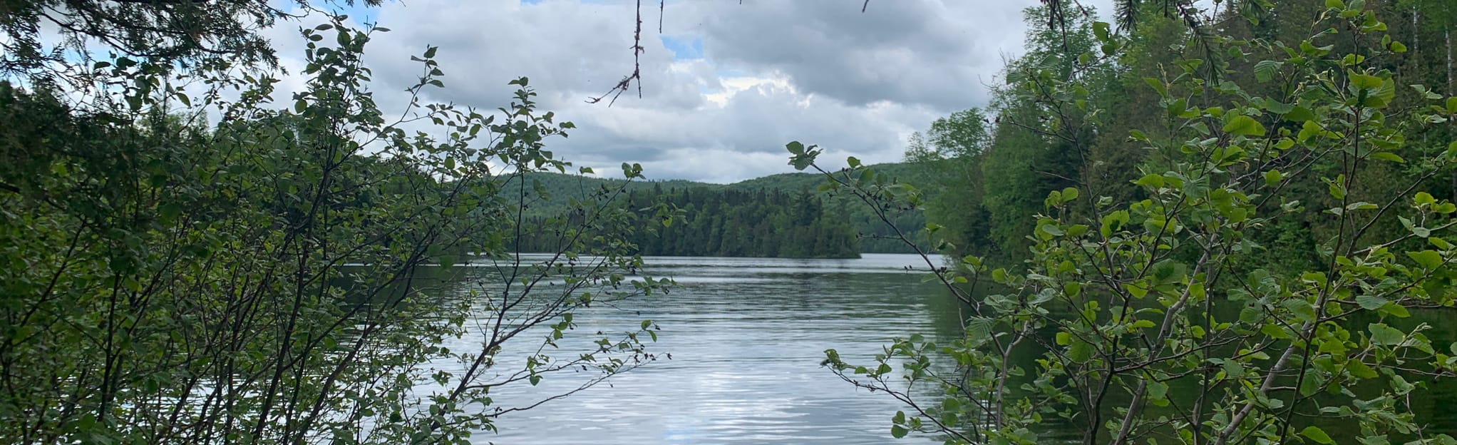 Bootlegger Trail, Quebec, Canada 20 Reviews, Map AllTrails