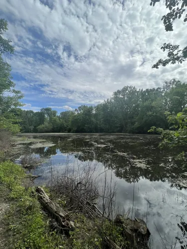 Best Hikes and Trails in Chippewa Nature Center AllTrails