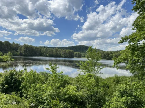 10 Best Hikes and Trails in Quabbin Reservoir | AllTrails