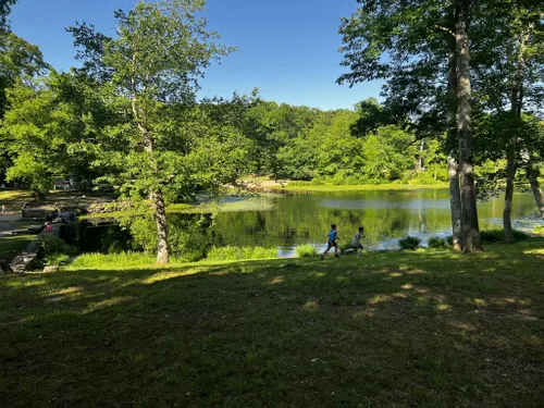 Day Pond State Park: A Connecticut Gem for Outdoor Enthusiasts