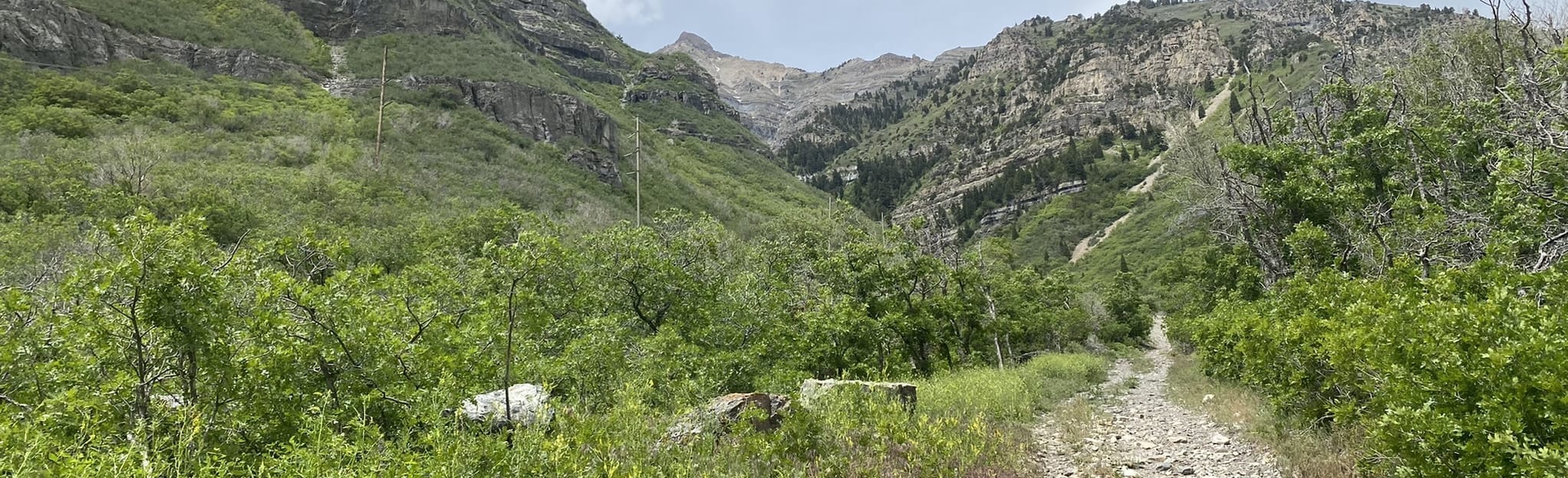 Lost Creek Falls Trail, Utah 1,041 Reviews, Map AllTrails