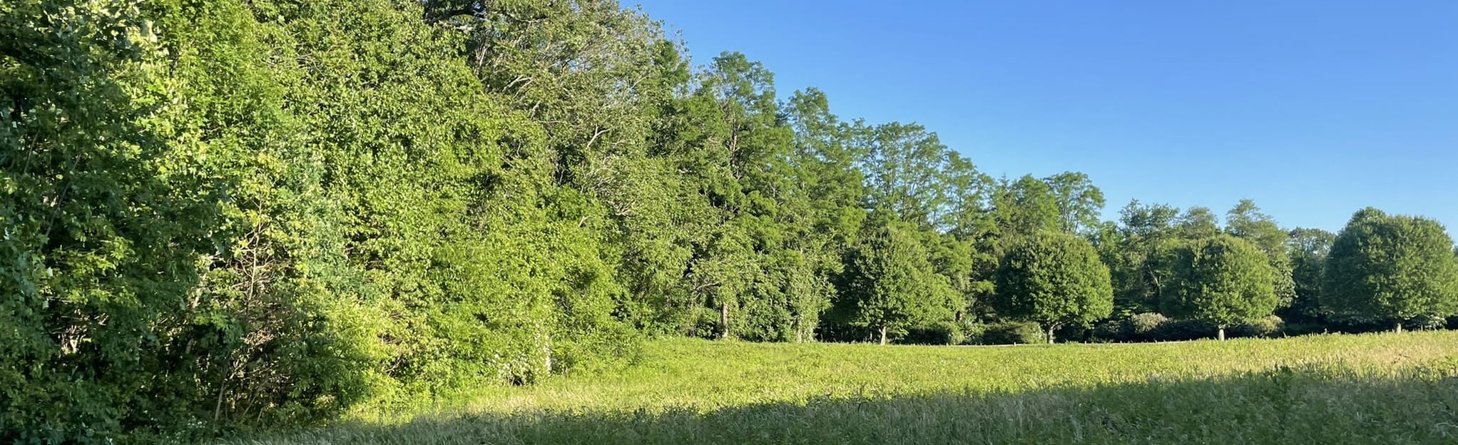 Tiffany Creek Preserve, New York 168 Reviews, Map AllTrails