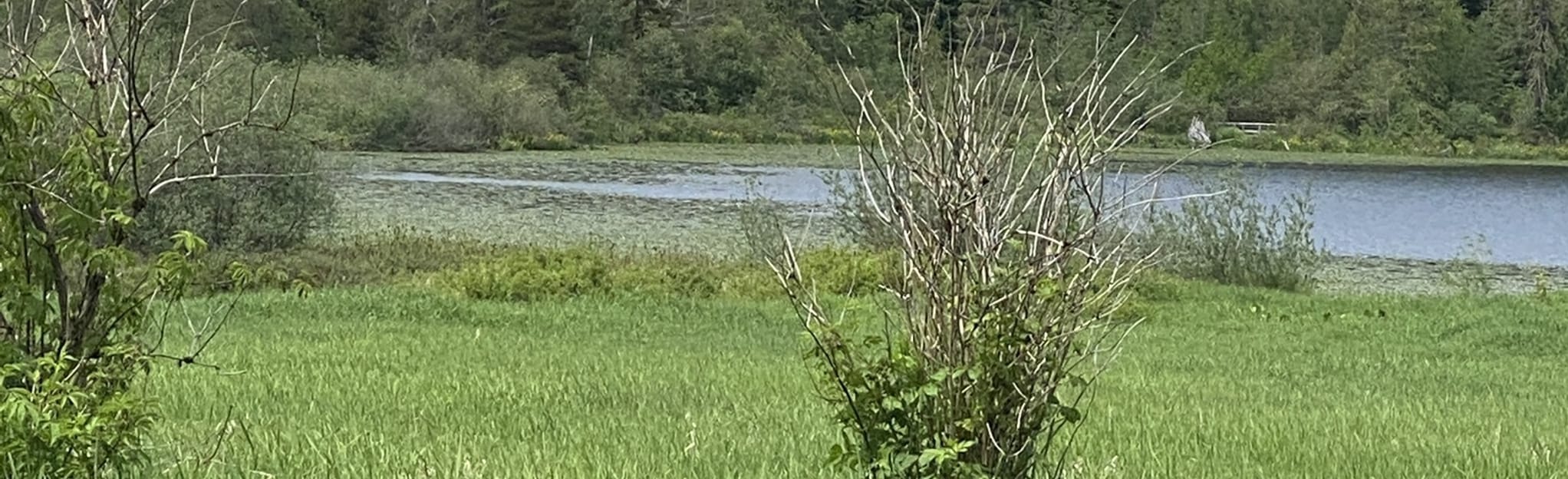 Deer Lake South Loop via Second Beach Trail British Columbia, Canada