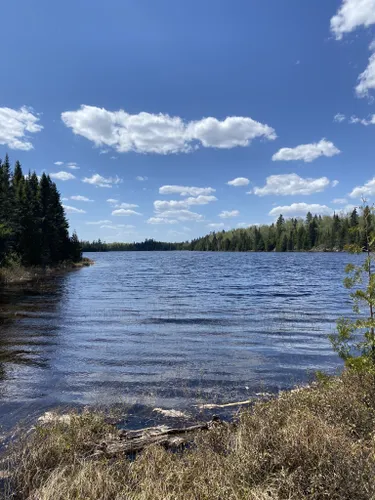 Best Hikes and Trails in Finland State Forest | AllTrails