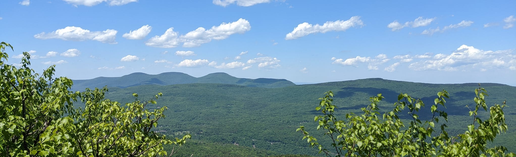Kaaterskill High Peak via Long Path Trail 101 Reviews, Map New York