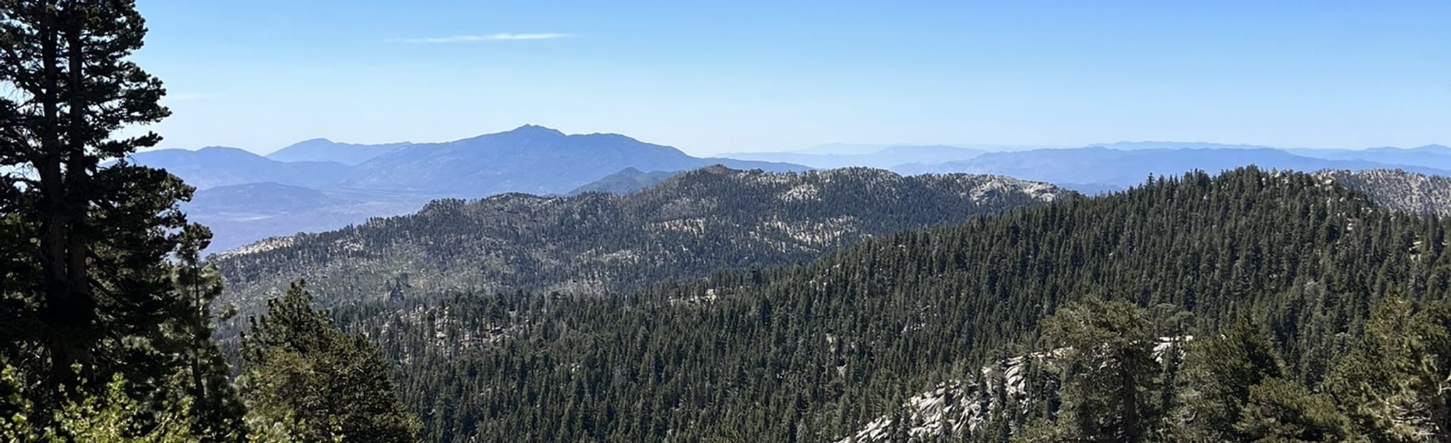 Humber Park to Ranger Station Loop California AllTrails