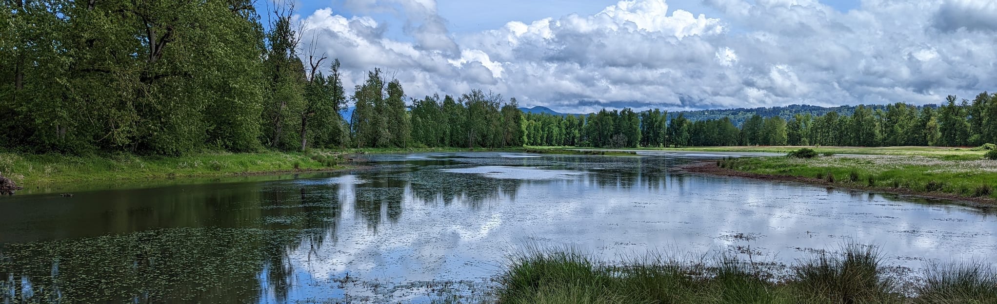 Gibbons Creek Wildlife Art Trail 222 Reviews, Map Washington AllTrails