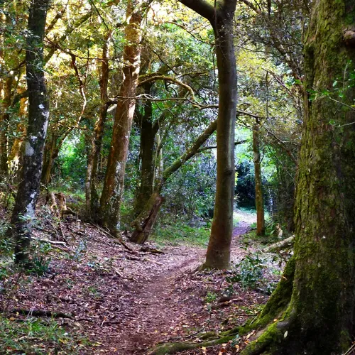 2023 Best Trails, Walks, and Paths in Kirkwood AllTrails