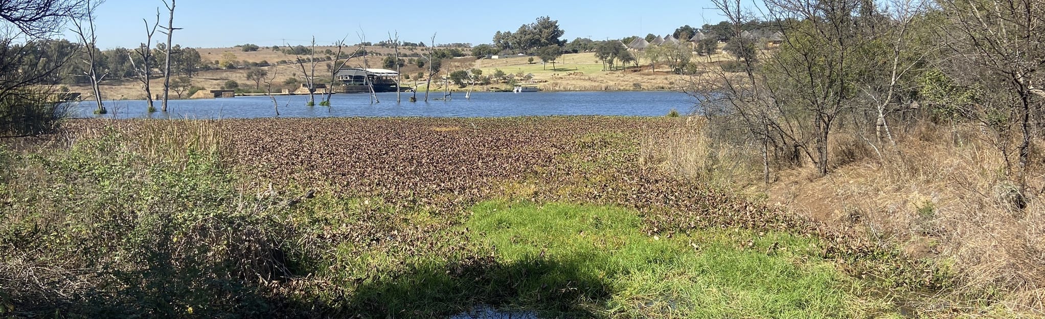 Cradle Moon Lake Loop 274 foto Gauteng, Sudafrica AllTrails