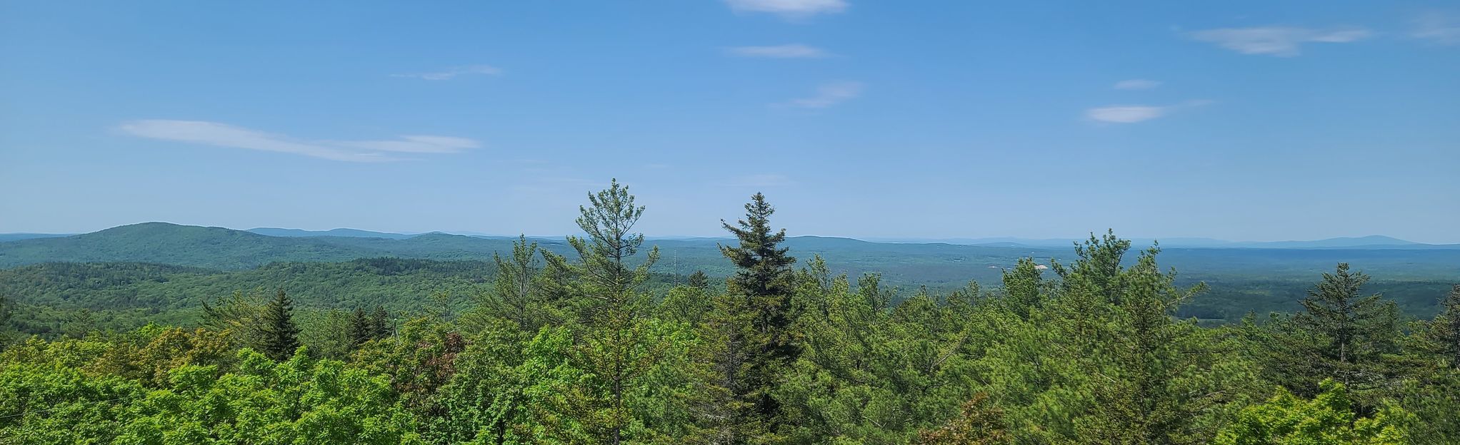 Blue Job Mountain Loop, New Hampshire - 1,887 Reviews, Map | AllTrails