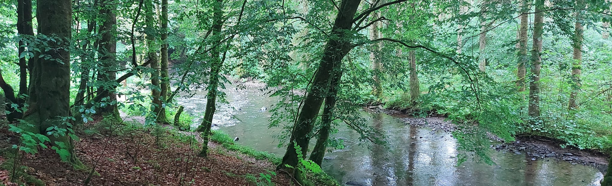 AllTrails Circuit de La 1 Reviews, Map Luxembourg, Belgium