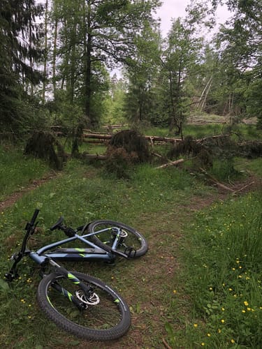 Hochrhöner Etappe 8: Bernshausen - Salzungen