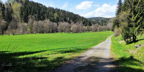 Großarmschlag: Entlang Dörfer und Große Ohe