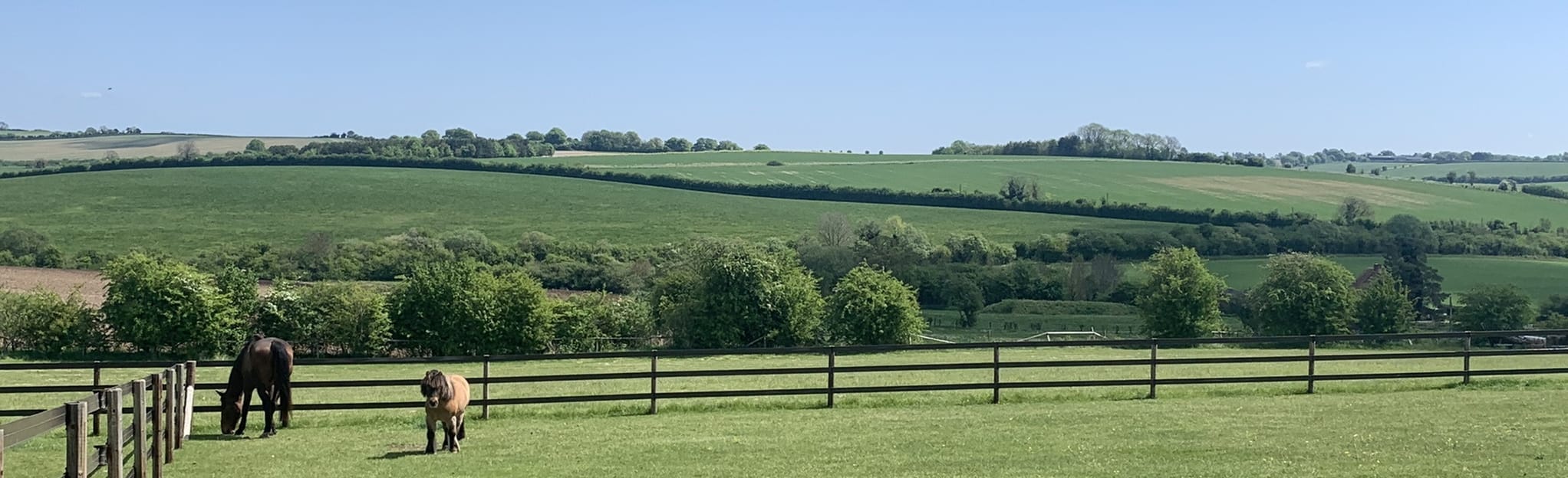 Compton and Ridgeway Circular 99 Fotos Berkshire, England AllTrails