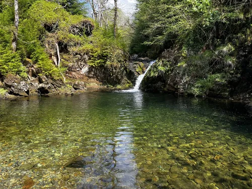 Best camping trails in Coed y Brenin Forest AllTrails