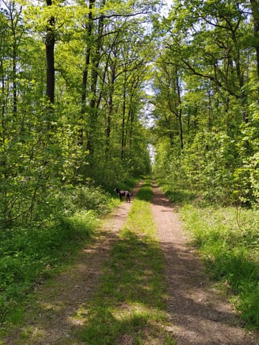 Halle über Kütten