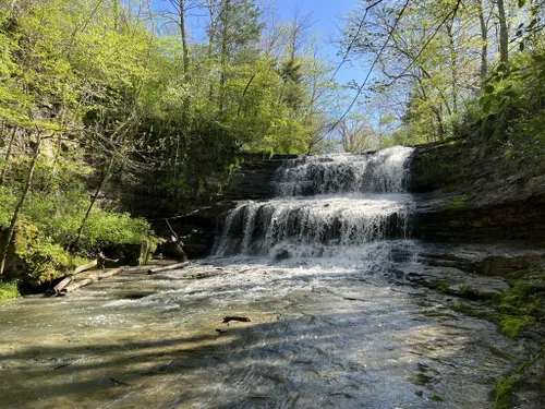 Best Hikes and Trails in Fallsville Wildlife Area | AllTrails