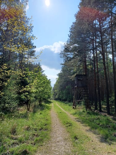 Bad Klosterlausnitz - Hainspitz - Hetzdorf