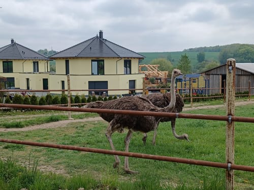Bad Klosterlausnitz - Hainspitz - Hetzdorf
