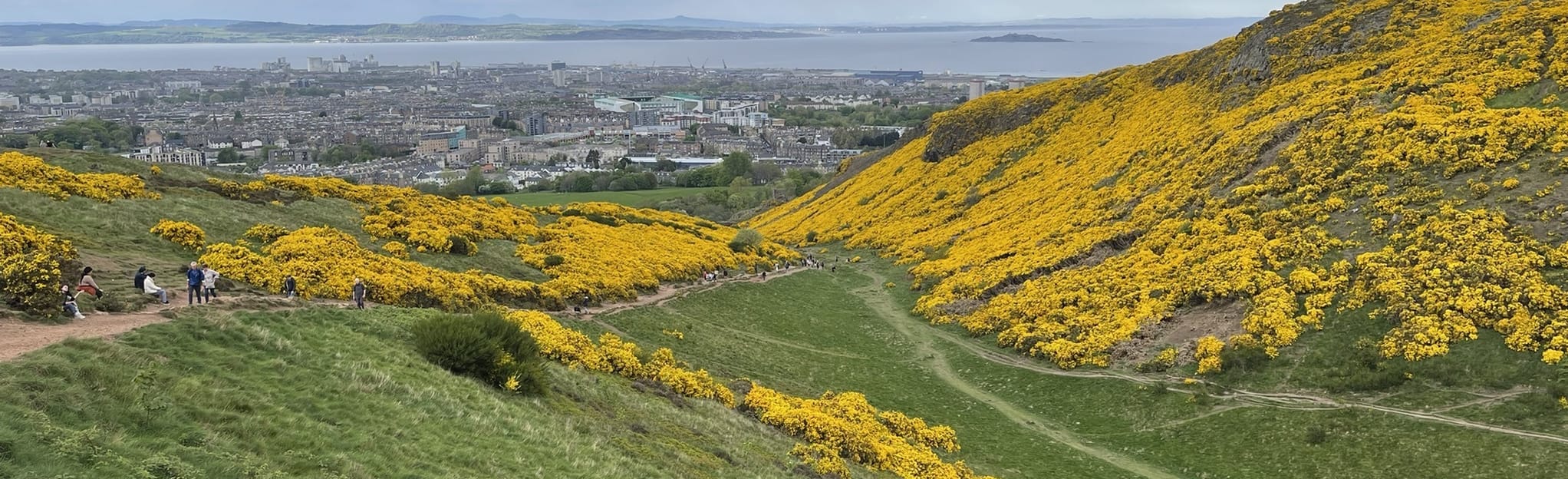 Holyrood Distillery and Arthur’s Seat 1.337 foto's Edinburgh
