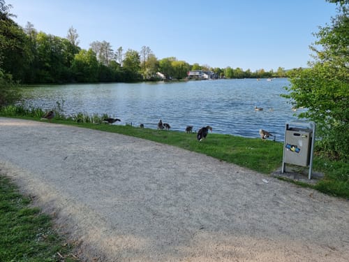 Göttinger Kiessee und Drachenwiese