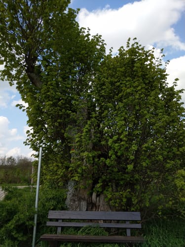 Felsengarten Sanspareil - Großenhül - Kleinhül