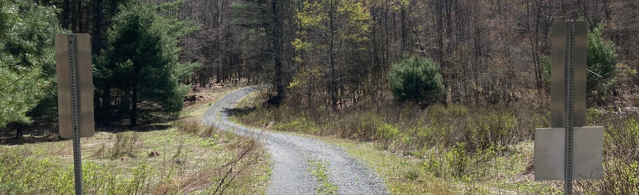 Blooming Grove Blue Loop Trail, Pennsylvania 39 Reviews, Map AllTrails