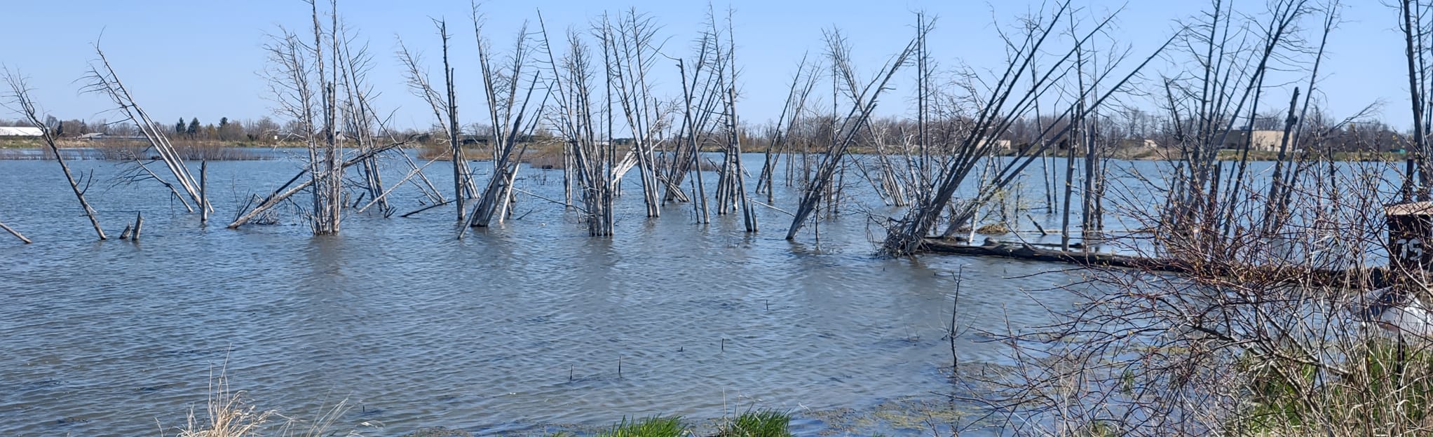 Port Rowan Wetlands Walk, Ontario, Canada 7 Reviews, Map AllTrails