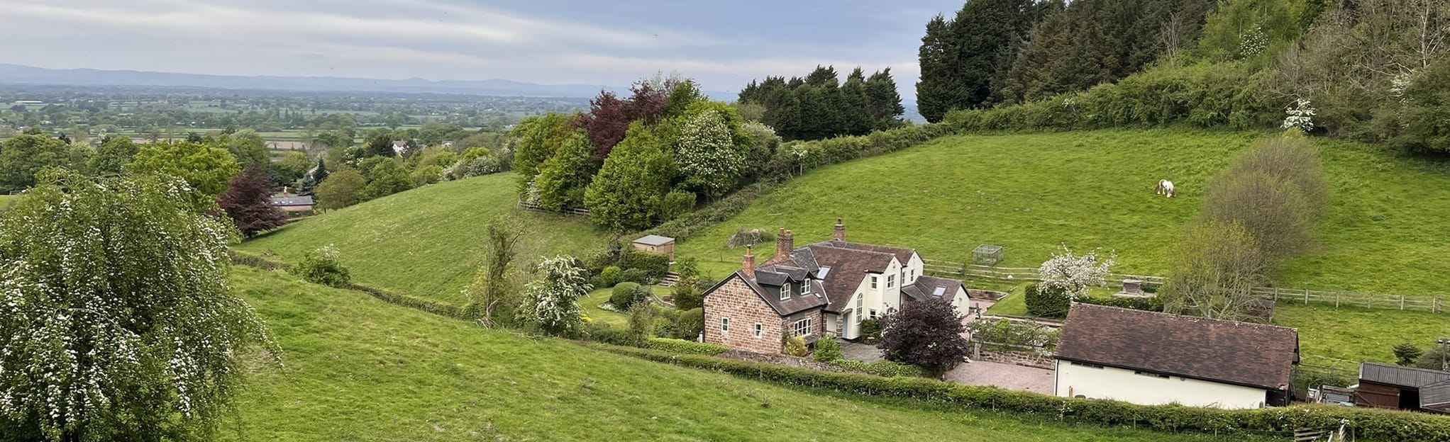 The Morris Dancer Kelsall Walk, 134 Fotos Cheshire, England AllTrails