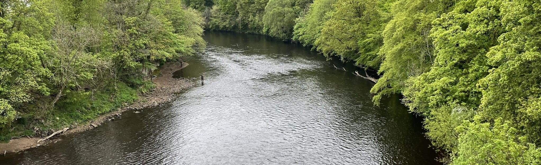 Bothwell Castle Loop via Blantyre Mill Road 89 Reviews, Map South