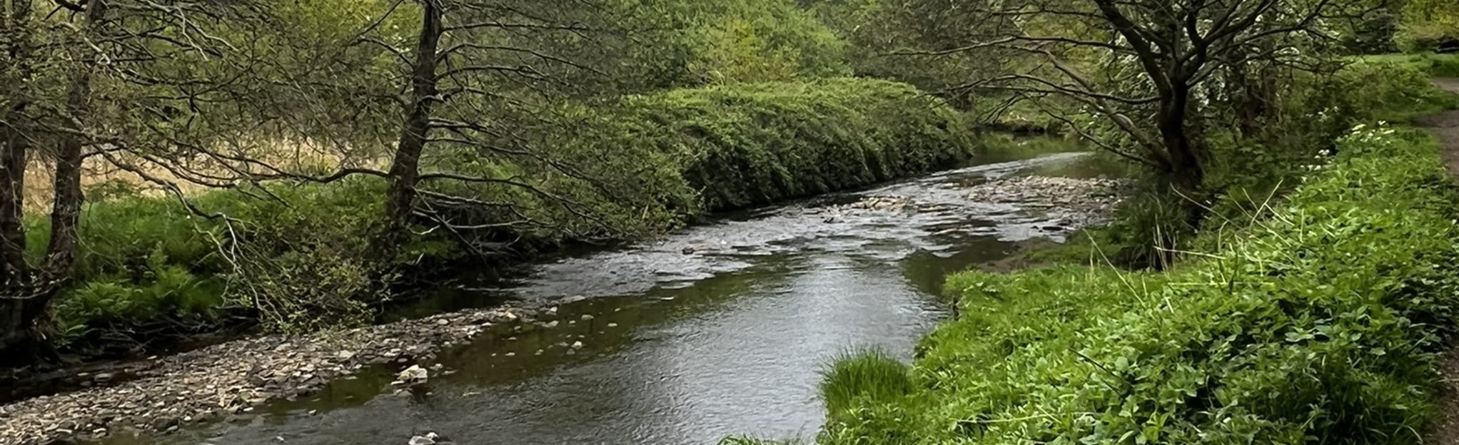 Seven Acres Country Park Circular 4 Photos Grand Manchester, Angleterre Randonnée AllTrails