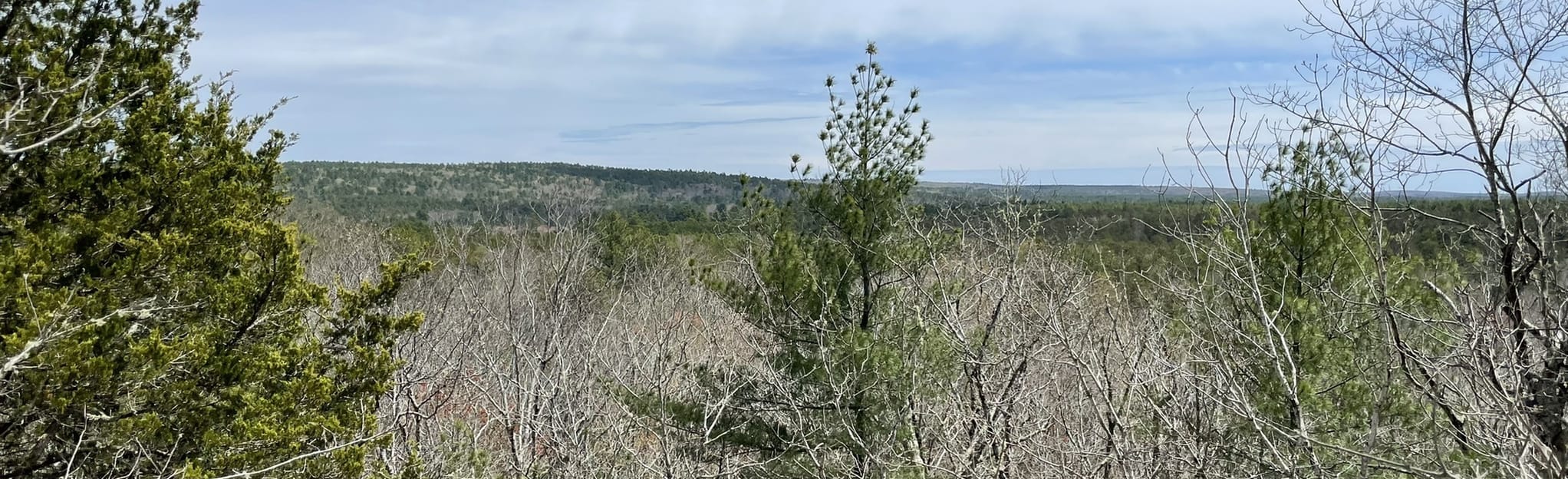 Mt. Tom Trail and Old Ten Rod Road Loop, Rhode Island 264 Reviews