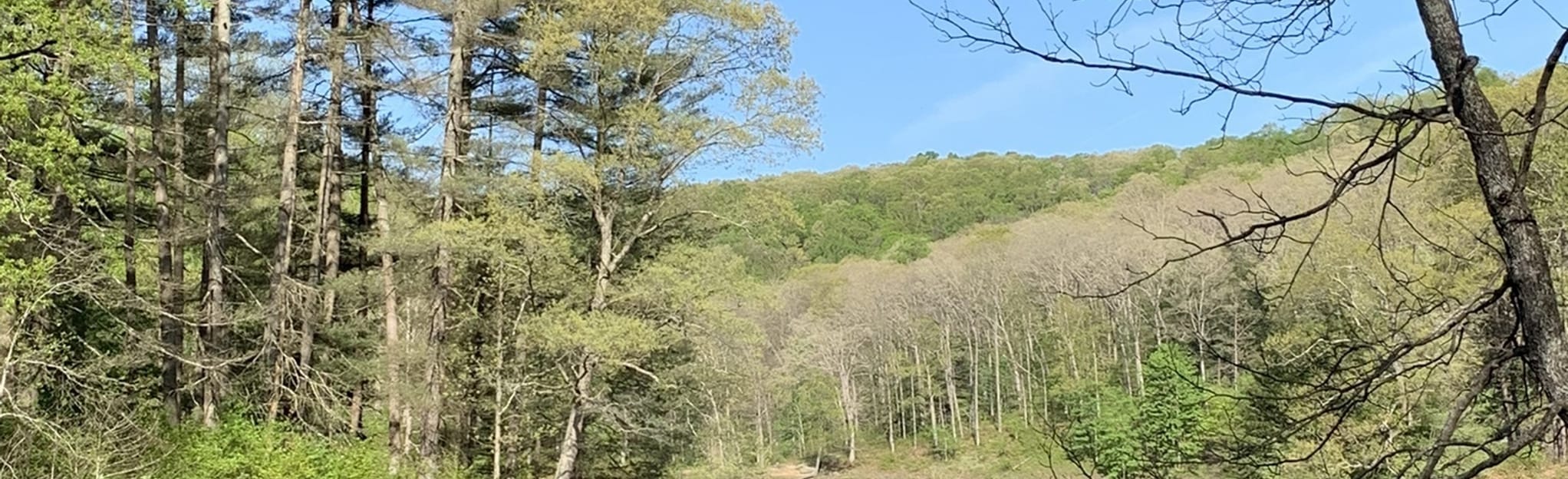 Hope Furnace Trail to Yosemite Falls and Copperhead Trail Ohio